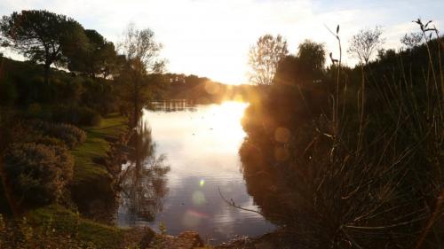 D_IMG_3775
